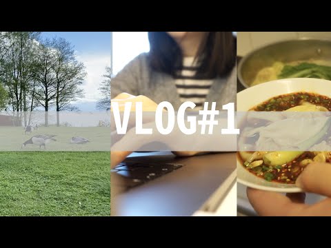 VLOG#1 在芬兰居家办公的一天 | 咖喱鸡肉饭｜红油抄手｜逛超市｜偶遇小松鼠