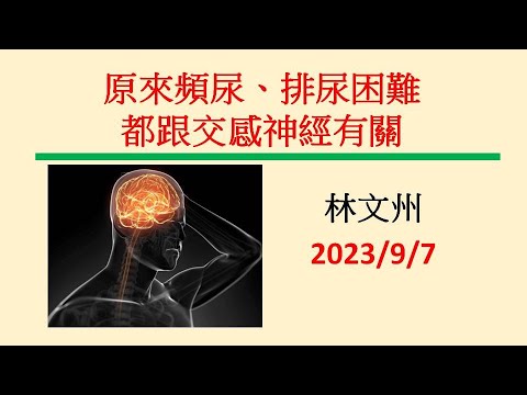 原來頻尿排尿困難都跟交感神經有關－林文州20230907