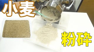 【全粒粉】卓上粉砕機で小麦をパウダー加工（ハイスピードミル）