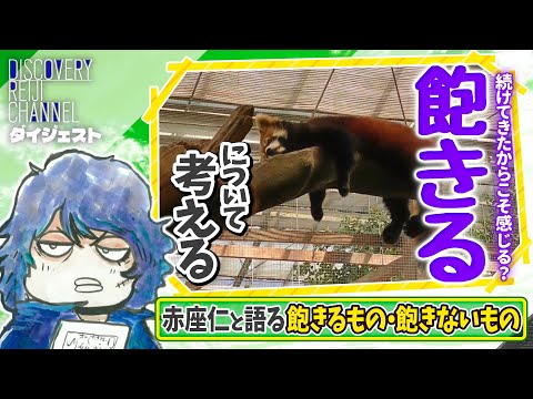 飽きるのには資格がいる？山田玲司と赤座仁が語る「飽きるもの・飽きないもの」談義【ディスカバリーレイジチャンネル】