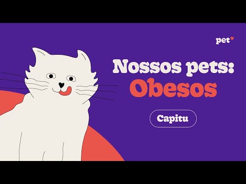 Nossos Pets: Obesos - Episódio 2 | Capitu