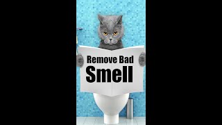 Remove Cat Urine Smell From Floors #shorts