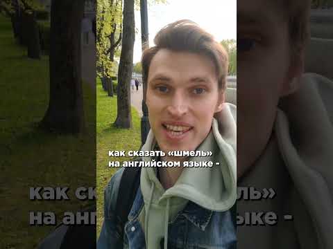 Как сказать «шмель» на английском языке? #shorts