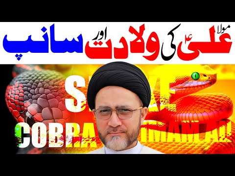 COBRA SNAKE OR IMAM ALI BIRTH | Moulana Shahenshah Hussain Naqvi