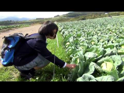 09 お前になら食べられてもいい