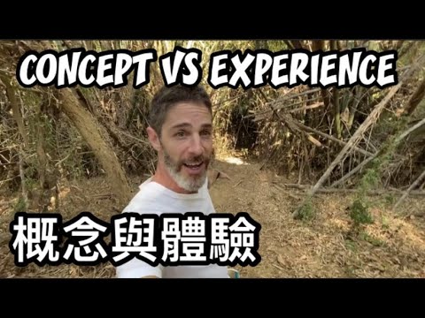 CONCEPT VS EXPERIENCE  概念與體驗