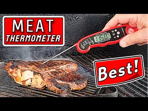 Alpha Grillers Meat Thermometer Review