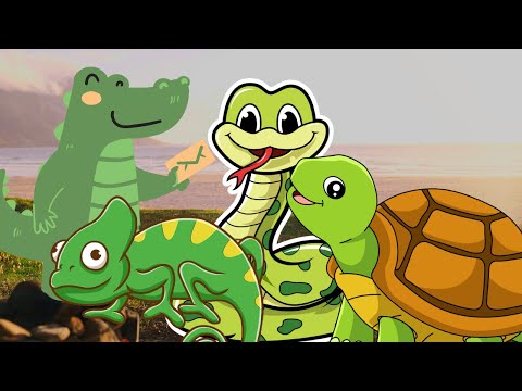 Reptiles in the World - Snakes Crocodiles Turtles Chameleons - Animal Sounds