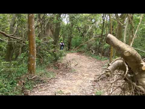 往內湖金面山XC車騎Enduro