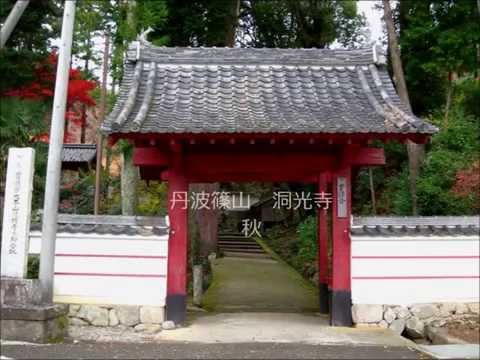 洞光寺　秋