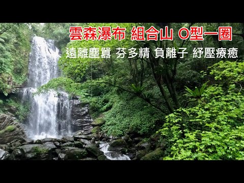 【雲森瀑布 組合山 O型健走】飄著仙氣的杉木林 氣勢如虹的瀑布群 大口森呼吸 享受大自然的洗禮 Yunsen Waterfall  |  Ahua Waterfall