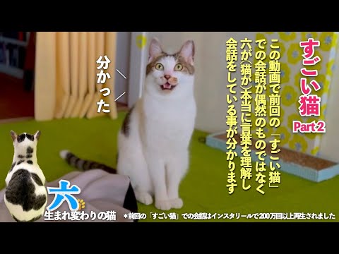 【すごい猫 Part2】おしゃべり猫の六は本当に言葉を理解して会話をしている。この動画で前回の「すごい猫」が偶然に撮れたものではないと分かってもらえるはず | [生まれ変わりの猫] 六