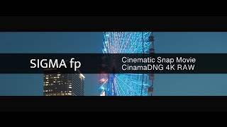 SIGMA fp シネマティックスナップムービー |横浜