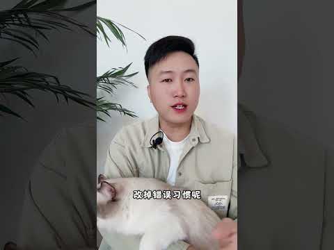 这种方式惩罚猫咪，他不会知道自己错。 猫咪 科学养宠攻略 养猫人 新手养猫技巧 新手养猫