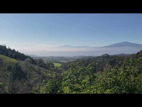 Que Bonitas vistas en la carretera Naolinco- Miahuatlán