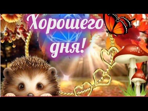 Музыкальный приветик от меня! 🎶☕🍁~ МУЗЫКАЛЬНОЕ ПОЖЕЛАНИЕ ХОРОШЕГО ДНЯ И ПРЕКРАСНОГО НАСТРОЕНИЯ!