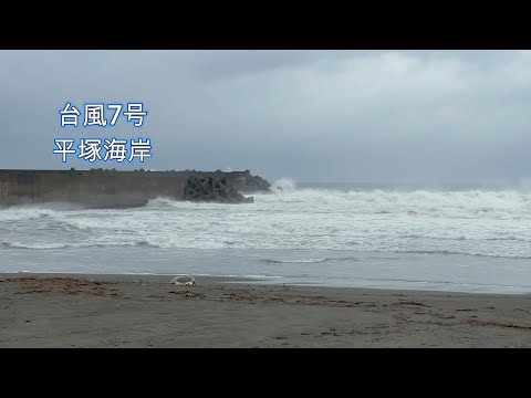 台風7号直撃！8月16日朝の平塚で見た巨大な波の力 - 自然の驚異を目撃せよ！