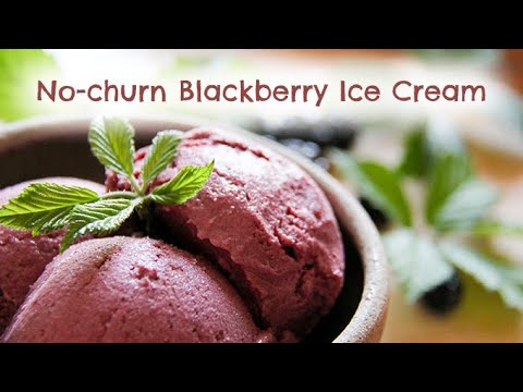 Vegan Blackberry Ice Cream - with coconut milk, no churn