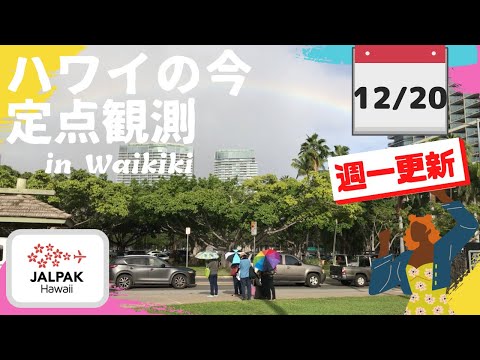 【ハワイの今】ワイキキ定点観測  2023年12月20日