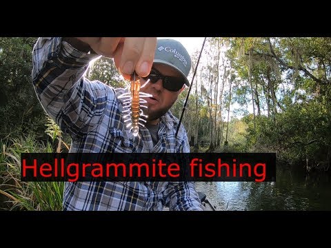 Ned rig hellgrammite fishing! FANTASTIC Suwannee bass lure!