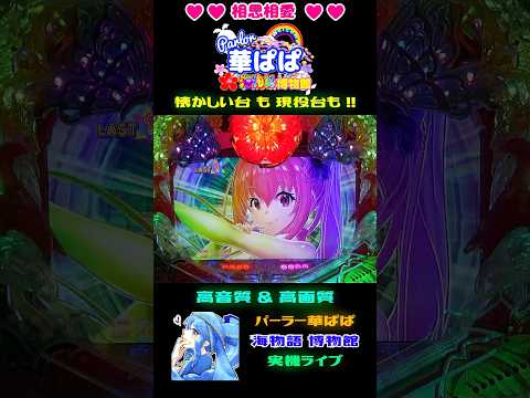 🌈アイマリン・レインボーエフェクト🌈✨ST中チャンス目で大当り濃厚✨🌺スーパー海物語 IN 沖縄5🌺【 パーラー華ぱぱ・海物語 博物館 】ショート動画 #shorts