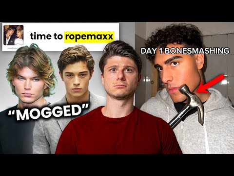 The Looksmaxxing Epidemic: Why Beauty Matters More Than Ever