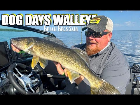 Tips for Walleye Success During the Dog Days of Summer