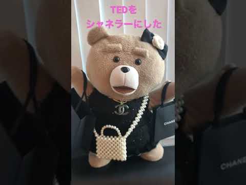 TEDをシャネラーにしてみた　#ted #chanel #diy #shorts