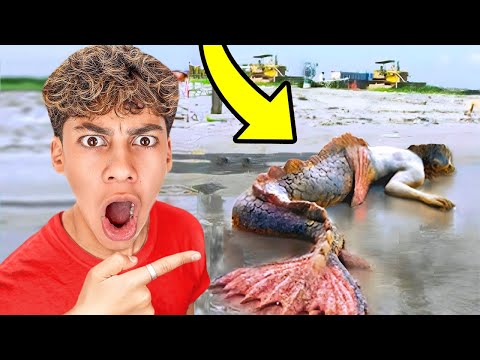 6 YouTubers Who CAUGHT MERMAIDS On CAMERA! (The Royalty Family, Salish Matter, Ferran)