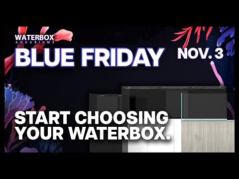 Getting Ready for BLUE FRIDAY? Let's talk how to choose a Waterbox.