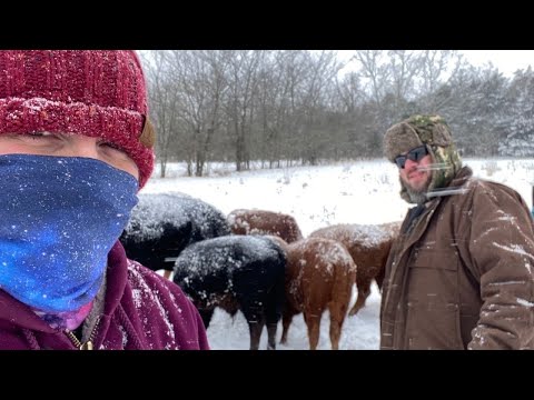 SNOW STORM ON THE FARM: Prepping and Working through It