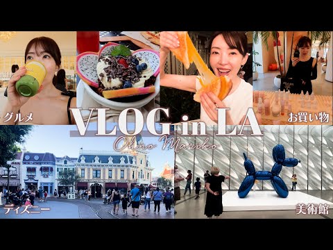 【LA VLOG🇺🇸】大野真理子の家族旅行✈️ディズニー・ユニバ・美術館・グルメ・ショッピングを楽しみ尽くす9泊11日！　#皮膚の変態 #家族旅行 #海外旅行