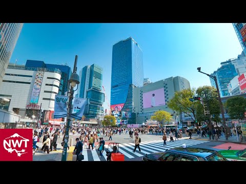 Tokyo Shibuya 2021 Spring 4K