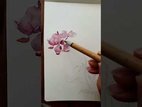 phal and den orchids watercolor painting time-lapse