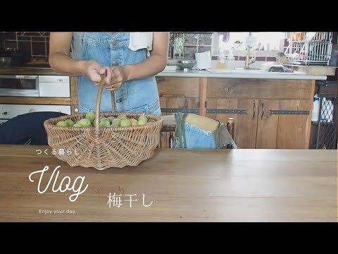 SUB] Rainy season ume Preserved food  / Dokudami insect repellent spray / Tanabata