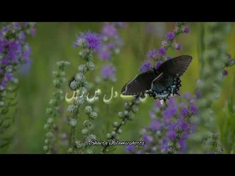 Heart Touching Status Video 🥀 | Islamic WhatsApp Status |