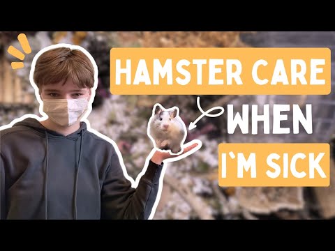 My Daily Hamster Care When I'm Sick 🤒🐹