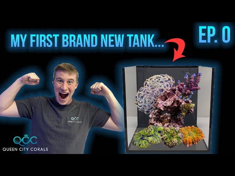 How To Start A Reef Tank! Episode 0: The Introduction