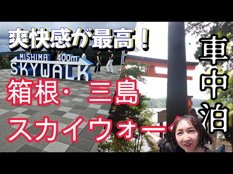 【 N-BOX】車中泊の旅！日本最長400ｍの歩行者専用吊橋「三島スカイウォーク」と湖に浮かぶ鳥居「平和の鳥居」に興奮してきました！#ドライブ #在宅勤務 #愛犬