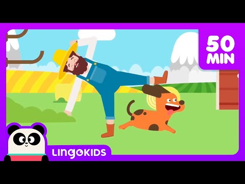 BINGO THE DOG 🐶 More Popular Songs for Kids | Lingokids