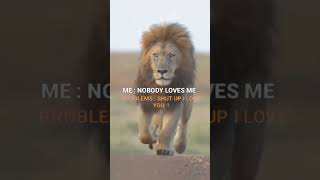 Lion Attitude shayari status Shayari status Attitude shayari #youtubeshorts#viral#shayari#shorts