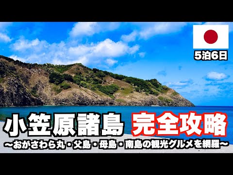 【総額25万円】小笠原諸島に行くならコレを見て！5泊6日で飲食店を13店舗紹介！父島も母島も南島も全部制覇する完璧で最高な小笠原旅！(総集編)