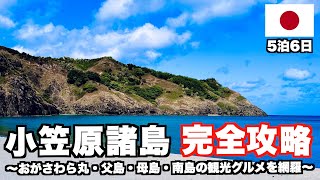 【総額25万円】小笠原諸島に行くならコレを見て！5泊6日で飲食店を13店舗紹介！父島も母島も南島も全部制覇する完璧で最高な小笠原旅！(総集編)