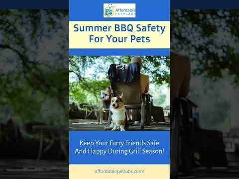 Summer BBQ Safety for Your Pets