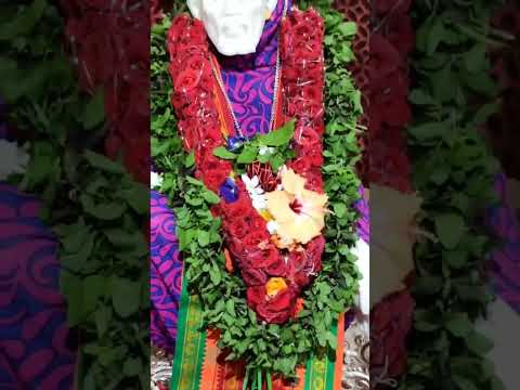 ఓం సాయిరాం #trending #saibaba #devotional #viralvideo