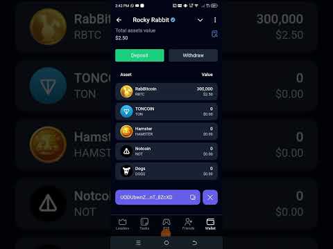 tap tap scam| Rocky rabbit scam| hambester combat scam| x empire scam