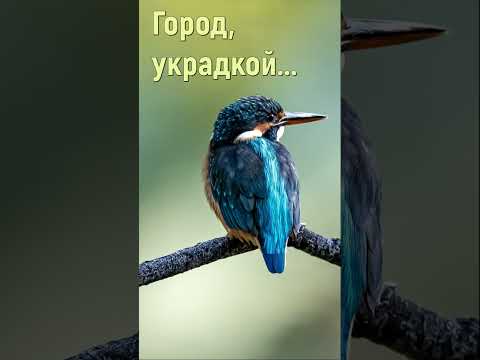 Город украдкой скрываясь от взглядов - Христианские песни #shorts #городукрадкойскрываясьотвзглядов