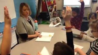 Leveled Reader Guided Reading