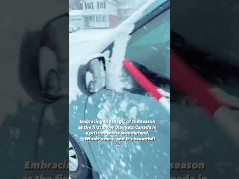 Snow Cleaning Day #dailyvlogs #canadalife #lifeincanada #canadalifevlog