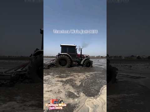 Arjun Novo 755 4x4 Jhotta #mahindra #tractor #jhotta #jatt #4x4